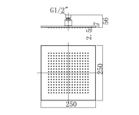 SAPHO Hlavová sprcha, 250x250mm, chrom (3)