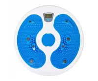 Fitness King Twister s počítadlem TD07 (1)