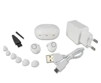 Platinium Osobní zesilovač zvuku dobíjecí Dual Plus 2 ks JH-A39 (2)