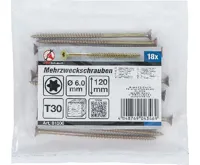 BGS Šrouby víceúčelové, T-profil (pro Torx)  T30, 6.0 x 120 mm, 18 pcs. (1)