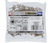 BGS Šrouby víceúčelové, T-profil (pro Torx) T10, 3,5 x 30 mm, 250 ks (1)