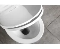 AQUALINE JOSE WC kombi, dvojtlačítko 3/6l, zadní odpad, bílá (10)