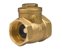 NOVASERVIS Zpětná klapka do vodorovné polohy 3/4&quot; - ZZK2