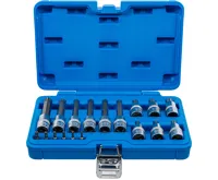 BGS Sada nástrčných hlavic ,  6,3 mm (1/4&quot;) / 12,5 mm (1/2&quot;) ,  T-profil (pro Torx) s otvorem