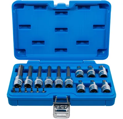 BGS Sada nástrčných hlavic ,  6,3 mm (1/4") / 12,5 mm (1/2") ,  T-profil (pro Torx) s otvorem