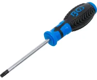 BGS Šroubovák T-profil T30 x 100 mm,1/4" vnitřní čtyřhran