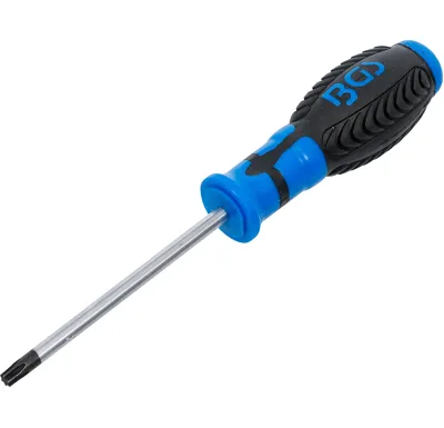 BGS Šroubovák T-profil T30 x 100 mm,1/4" vnitřní čtyřhran