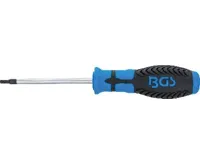 BGS ScŠroubovák, T-profil (pro Torx) s otvorem T15, Délka čepele 80 mm (1)