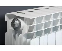 Lipovica EKONOMIK 285 - 12 článek (2)