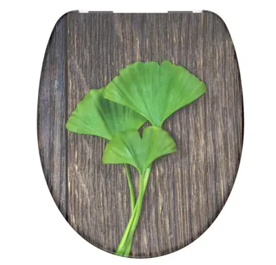Schütte WC sedátko GINGKO und WOOD | Duroplast, Soft Close
