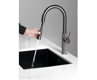 SAPHO FLAWO stojánková dřezová baterie s výsuvnou sprškou, gun metal (5)