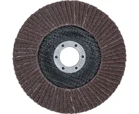 BGS Kotouč brusný lamelový,  O 125 mm, K 60