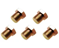 BGS Zátka vypustě M15 x 1,5, 5 ks