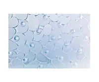 HomeLife Protiskluzová podložka 52 x 54 cm PP52 (1)