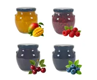 MADAMI s.r.o. Kolekce MAxi horké ovoce Madami 8x 500g (1)