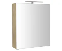 SAPHO RIWA galerka s LED osvětlením, 60x70x17cm, jilm bardini