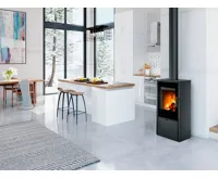 ROMOTOP Krbová kamna LAREDO F Plech, celoplošná skleněná dvířka (2)