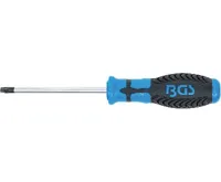 BGS Šroubovák T-profil T30 x 100 mm,1/4" vnitřní čtyřhran (1)