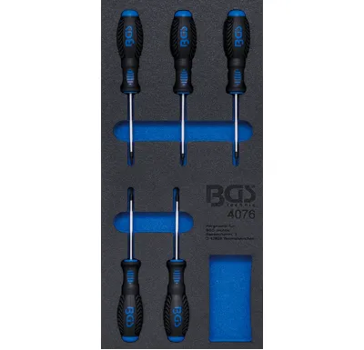 BGS Modul - šroubováky T-profil (pro Torx) T6-T10, sada 5 dílů