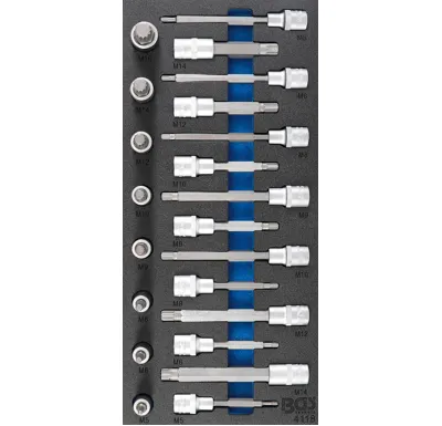 BGS Vložka do dílenského vozíku 1/3: sada nástrčných hlavic, vnitřní tisícihran (pro XZN), 2