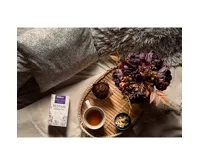 Čaj Biogena Wellness Bedtime harmony (1)