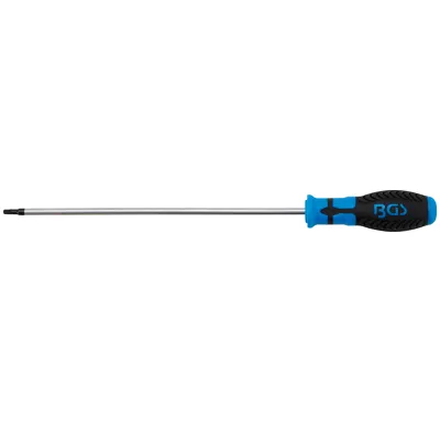 BGS Šroubovák T-profil T25 x 250 mm