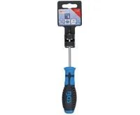 BGS ScŠroubovák, T-profil (pro Torx) s otvorem T15, Délka čepele 80 mm (2)