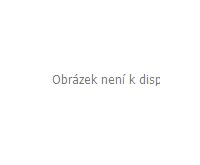 BGS Vložka do dílenského vozíku 1/6: sada zástrčných hlavic pro bezpečnostní šrouby ráfků pro