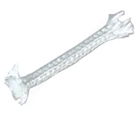 HS Flamingo Těsnící šňůra na dvířka hranatá (12x12 mm) 1 bm