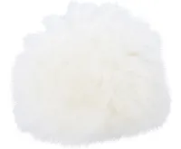 BGS Lešticí kotouč,  O 75 mm - BGS 74479 (2)