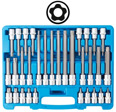BGS Sada nástrčných hlavic, 12,5 mm (1/2"), TP-profil (pro Torx Plus) s otvorem TP20 – TP70