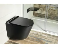 SAPHO PACO závěsná WC mísa, Rimless, 36x53cm, černá mat (4)