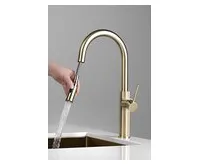 SAPHO FLAWO stojánková dřezová baterie s výsuvnou sprškou, zlato mat (1)