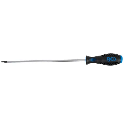 BGS Šroubovák T-profil T20 x 250 mm
