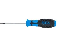 BGS Šroubovák T-profil T10 x 80 mm,1/4" vnitřní čtyřhran (1)