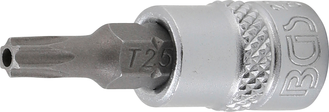 Bgs hlavice zástrčná 1/4" pro t-profil t 25, s vrtáním, zatíž. do 2 kg