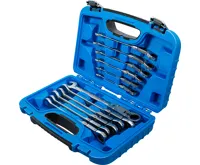 BGS Sada dvoukloubových ráčnových kombinovaných klíčů ,  nastavitelné ,  8 - 19 mm ,  12 ks. (3)