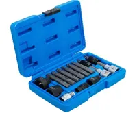 BGS Hlavice na volnoběžky alternátorů, sada 13dílů (1)