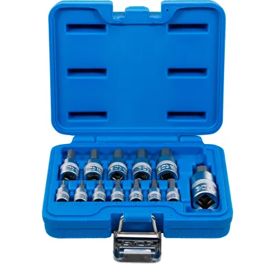 BGS Sada nástrčných hlavic | 6,3 mm (1/4") / 10 mm (3/8") / 12,5 mm (1/2") | vnitřní šestihran