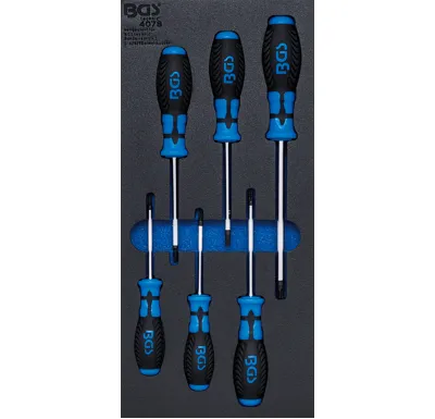 BGS Modul - šroubováky T-profil T15-T40, 6 dílů