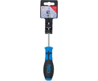 BGS Šroubovák T-profil T10 x 80 mm,1/4" vnitřní čtyřhran (2)