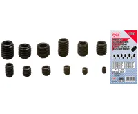 BGS Souprava šroubů vnitřní „červ“, palcové velikosti, 160dílná