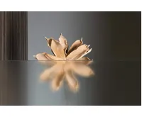 AQUALINE PILOT otočné sprchové dveře dvojkřídlé 900mm (10)