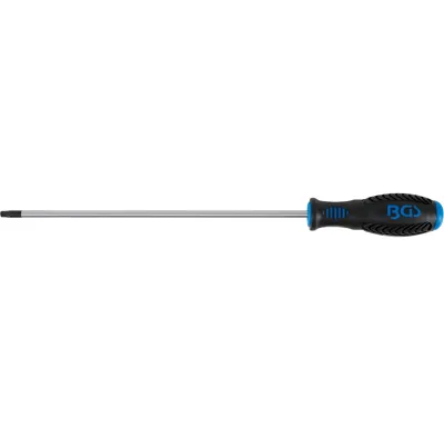 BGS Šroubovák T-profil T30 x 250 mm