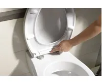 SAPHO LISA WC sedátko, Soft Close, Easy Take, bílá (7)