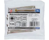 BGS Šrouby víceúčelové, T-profil (pro Torx) T25, 6.0 x 100 mm, 20 pcs. (1)