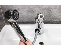 Chambord Lionor Chrom (12)