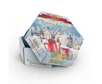 Čaj Biogena dárková sada Zimní kouzlo