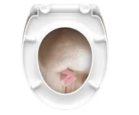 Schütte WC sedátko ROMANTIC | Duroplast, Soft Close (5)