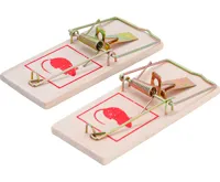 BGS Pasti na myši, 2 pcs. BGS Pasti na myši, 2 pcs.